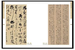 《草聖故里——張芝紀念館館藏書法作品集》