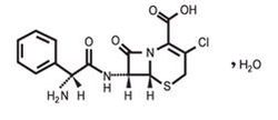 頭孢克洛緩釋片