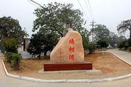 楊樹灣村[河南孟津縣麻屯鎮下轄村]