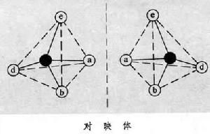 對映現象