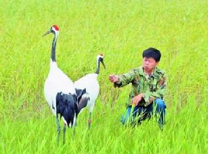 徐建峰[扎龍國家級自然保護區鶴類繁育中心原副主任]