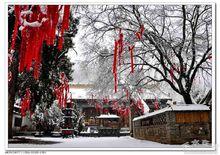 南郭寺雪景