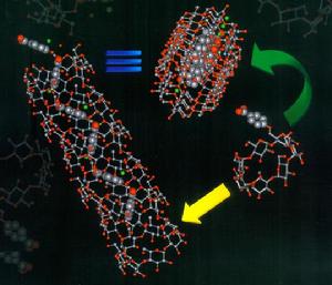 分子自組裝