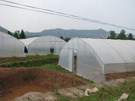 蔡家坪村[雲南省麗江市永勝縣仁和鎮下轄村]