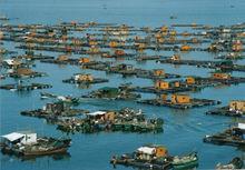 海陵島海洋漁業資源