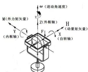 進動性