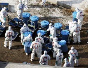 日本發現H5N8病毒