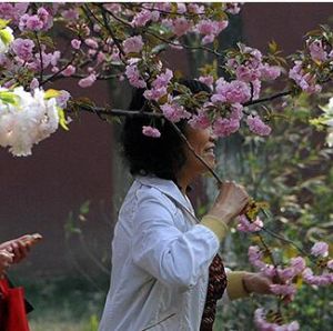 中國式賞花