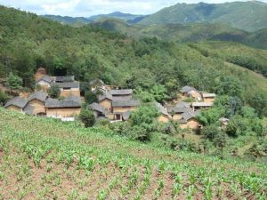 芹麻箐村