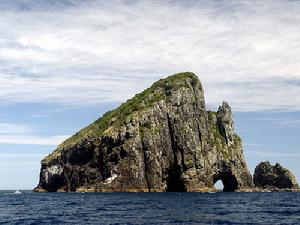 島嶼灣