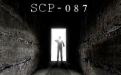 SCP-087