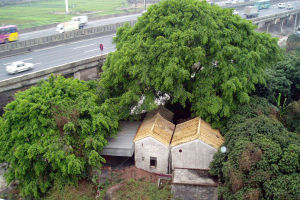 村頭村遺址