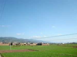 甘雨莊村