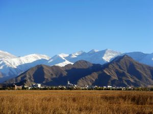 青海扎凌湖濕地