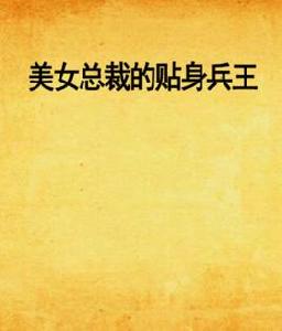 美女總裁的貼身兵王[暗夜文學網小說]