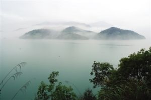 落水雲霧茶生長環境