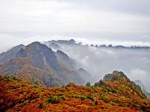 陽城[山西省晉城市陽城縣]