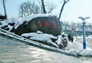 東炮台海濱