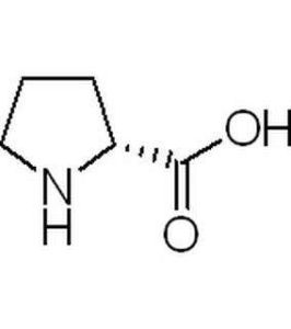 脯氨酸