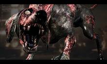 Zombie Dog C