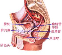 急性尿道炎