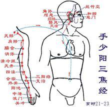 三焦經