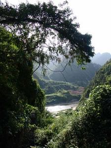 徽縣東關清真寺