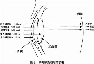 淺層點狀角膜炎