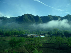 空山森林公園