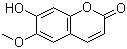 分子結構