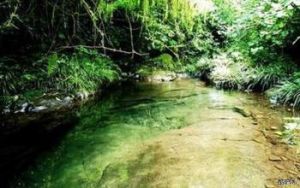 雲湖國家森林公園