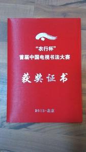 獲獎及入書照片