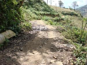 過羊路村通村道路