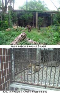 國內動物園的簡陋籠舍和生態化籠舍