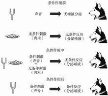 行為主義[美國現代心理學主要流派之一]