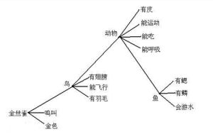 命題網路模型