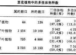 核內多倍性