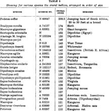 動物的Crural指數