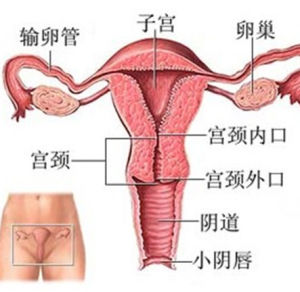 細菌陰道炎