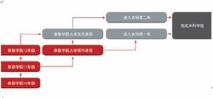 泰勒學院大學文憑課程