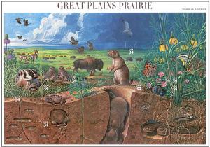 《Great Plains Prairie》