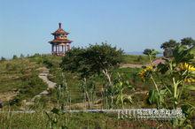 臥龍山[內蒙古烏蘭察布市集寧區景點]