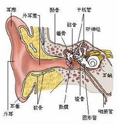 耳悶