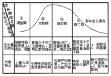 微生物生長曲線