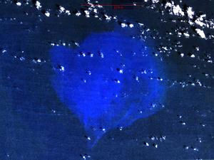 美國航空航天局 地球資源衛星圖像愛麗絲淺灘