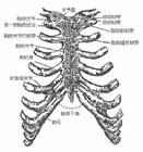 肋軟骨炎