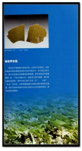 《揚帆南海——華光礁1號沉船出水文物特展》3