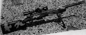 美國RSG-12式12號狙擊步槍