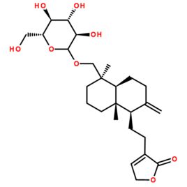 穿心蓮內酯