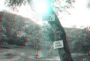 ANAGLYPH